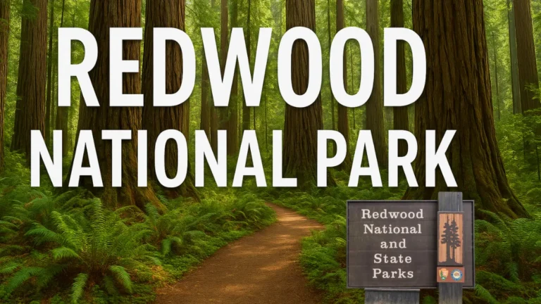 Redwood National Park