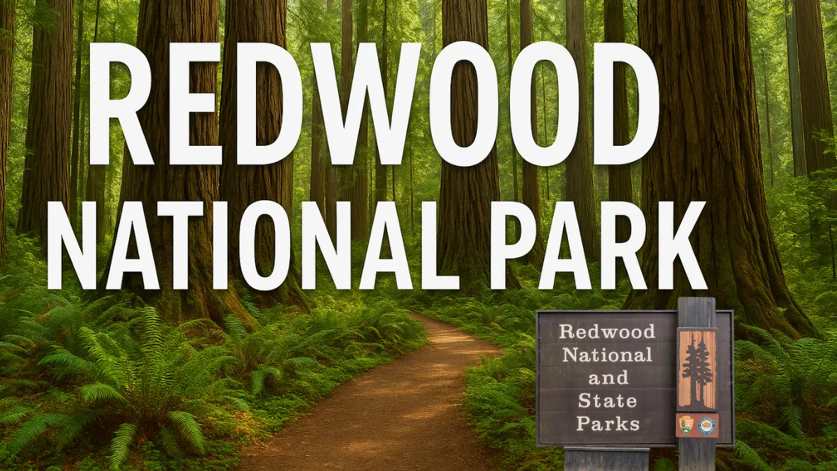 Redwood National Park