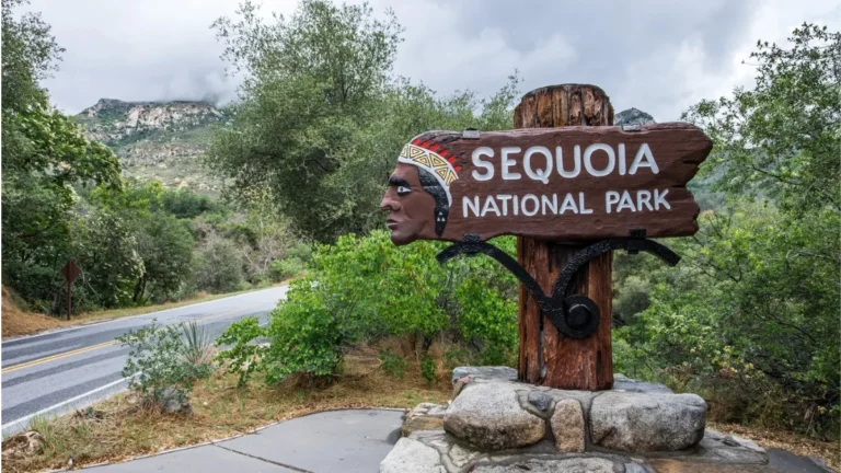 Sequoia National Park