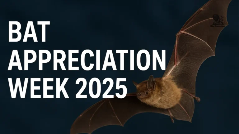 Bat Appreciation Week
