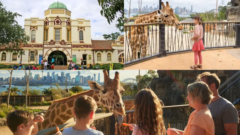 Taronga Zoo Sydney