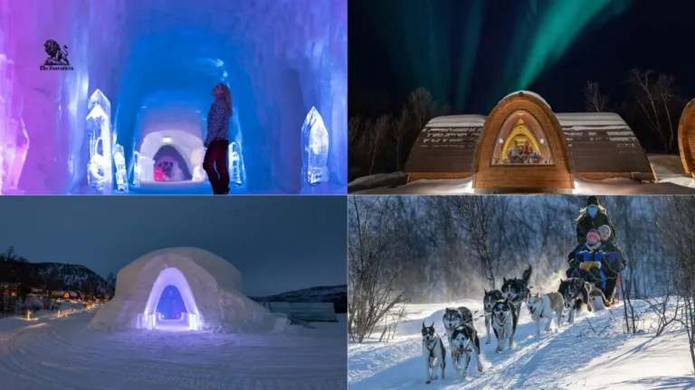 Arctic Highlights Package