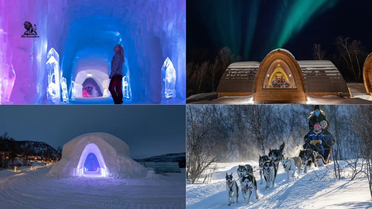 Arctic Highlights Package