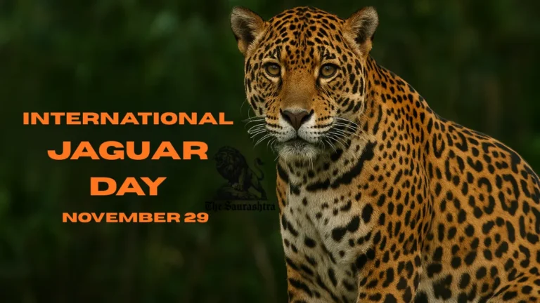 International Jaguar Day