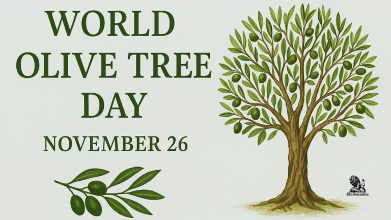 World Olive Tree Day