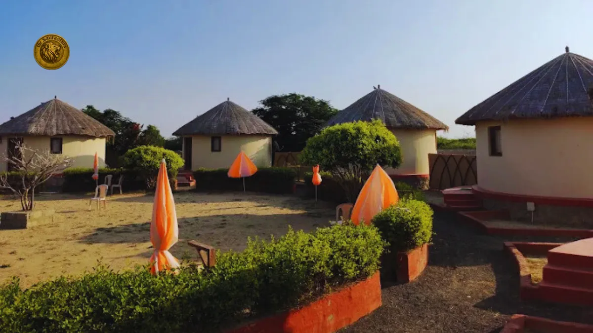 Hotels Near Dhordo Kutch