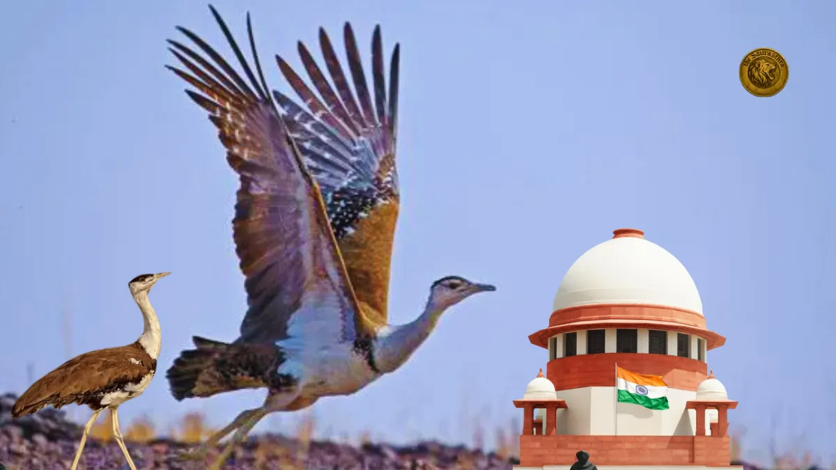 Great Indian bustard