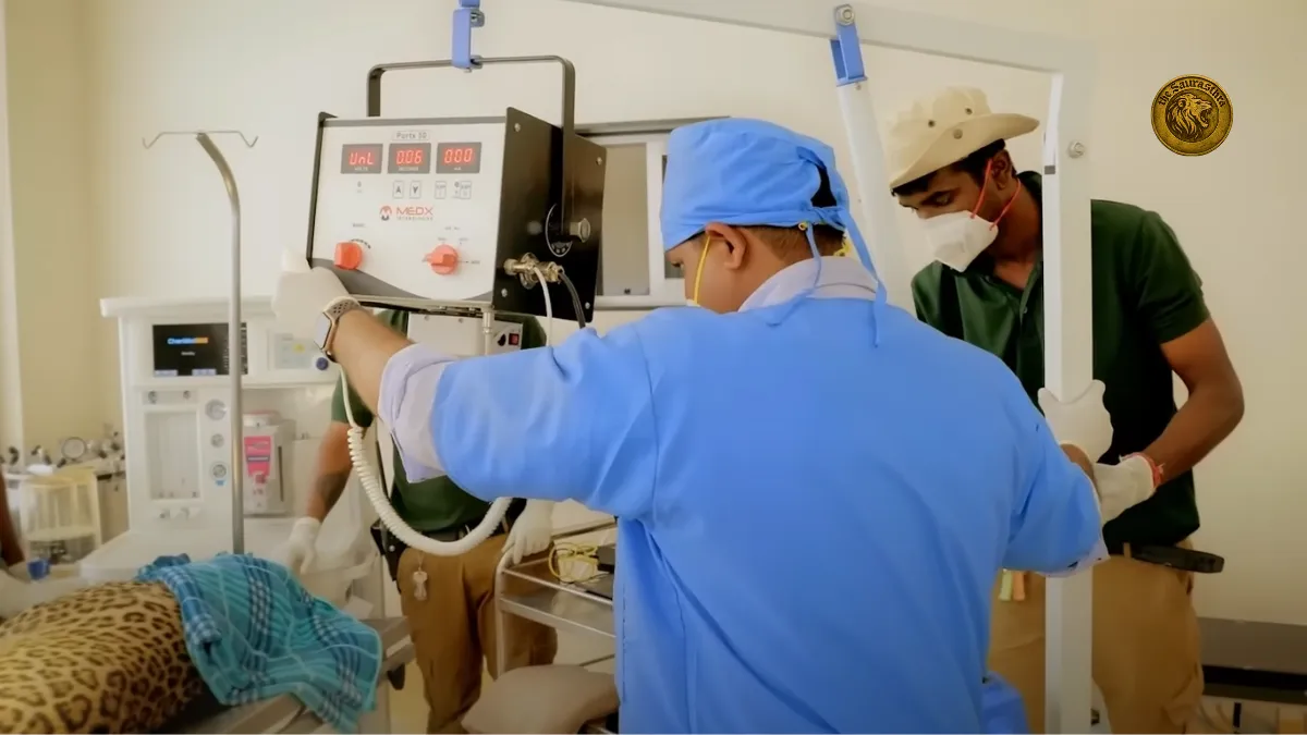 Vantara Ticket Price 