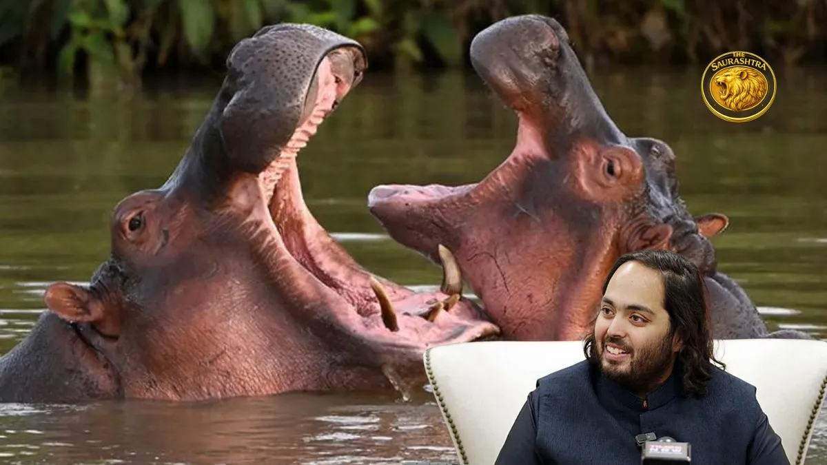 Anant Ambani Urges Colombia to Halt Killing of 80 Hippos